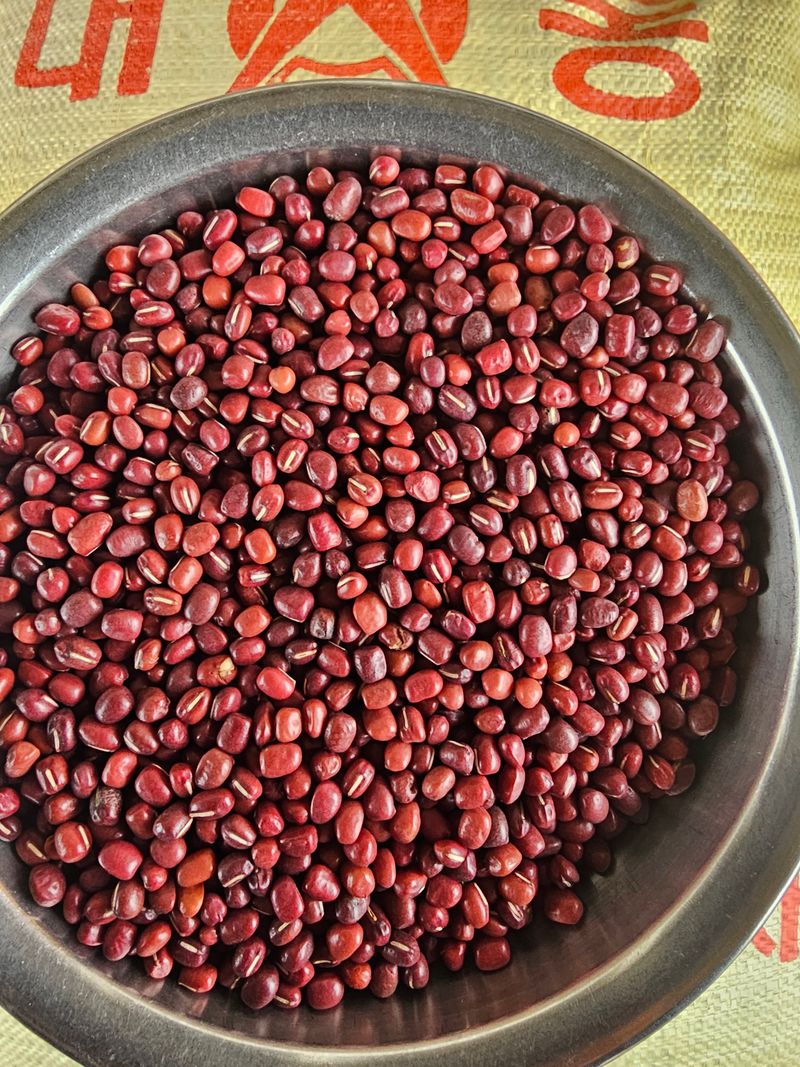 장터 상품 [붉은팥1kg] 썸네일