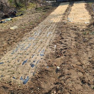 오영도님의 자유주제 · 자유게시판 작성글 사진