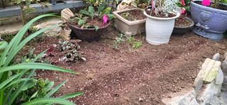 달맛햇복숭아농원님의 자유주제 · 자유게시판 작성글 사진