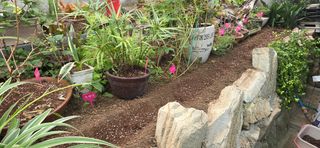 달맛햇복숭아농원님의 자유주제 · 자유게시판 작성글 사진