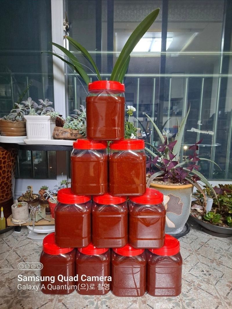 장터 상품 [2025년산 찹쌀고추장 2.5kg입니다.] 썸네일