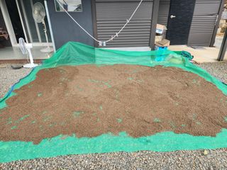 참깨.고추ㆍ박천제님의 자유주제 · 칭찬해요 작성글 사진