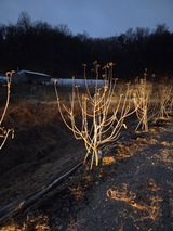 팜모닝 자유주제·자유게시판 게시글 이미지