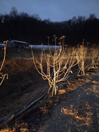 오원산님의 자유주제 · 자유게시판 작성글 사진