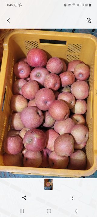 신동익님의 작성글 사진