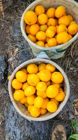 팜모닝 · 게시글 이미지