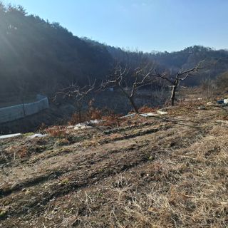 오영도님의 자유주제 · 자유게시판 작성글 사진