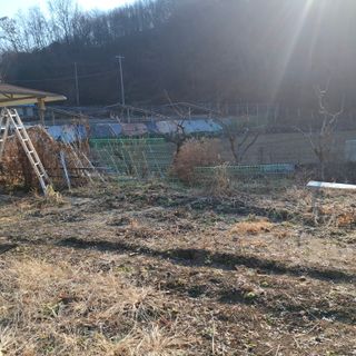 오영도님의 자유주제 · 자유게시판 작성글 사진