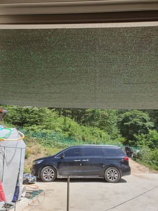 김효숙님의 자유주제 · 자유게시판 작성글 사진