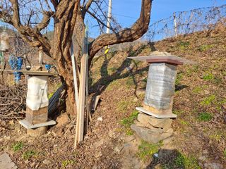 홍성호님의 자유주제 · 자유게시판 작성글 사진