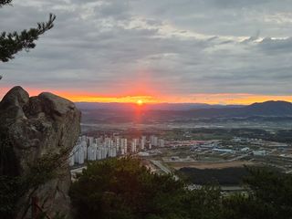 제주농부님의 자유주제 · 자유게시판 작성글 사진