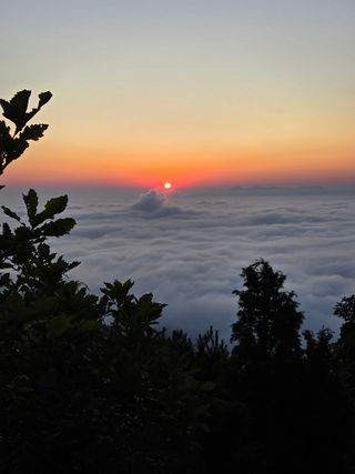 제주농부님의 자유주제 · 자유게시판 작성글 사진