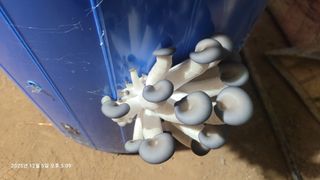 이동훈님의 자유주제 · 자유게시판 작성글 사진