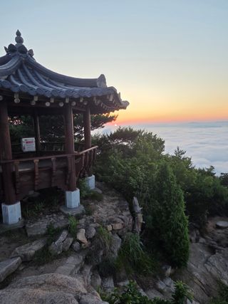 제주농부님의 자유주제 · 자유게시판 작성글 사진