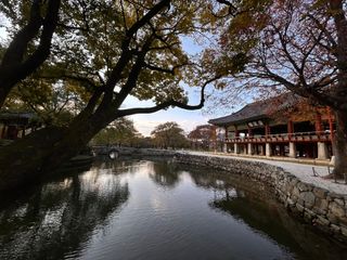 김춘성님의 자유주제 · 자유게시판 작성글 사진