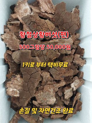 김봉호님의 작성글 사진
