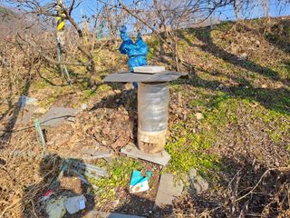 홍성호님의 자유주제 · 자유게시판 작성글 사진