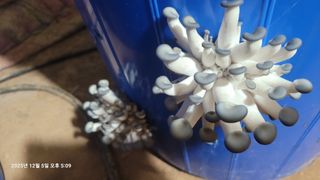 이동훈님의 자유주제 · 자유게시판 작성글 사진