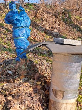 홍성호님의 자유주제 · 자유게시판 작성글 사진