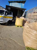 팜모닝 옥수수·자유게시판 게시글 이미지