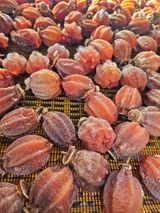 팜모닝 자유주제·자유게시판 게시글 이미지