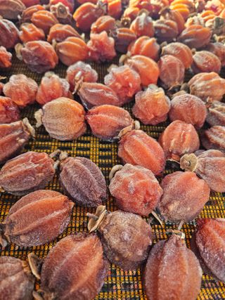 백용기님의 자유주제 · 자유게시판 작성글 사진