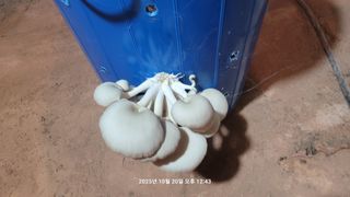 이동훈님의 자유주제 · 자유게시판 작성글 사진