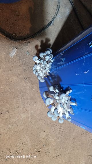 이동훈님의 자유주제 · 자유게시판 작성글 사진