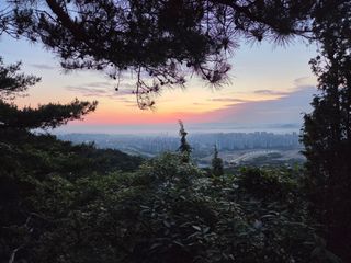 제주농부님의 자유주제 · 자유게시판 작성글 사진