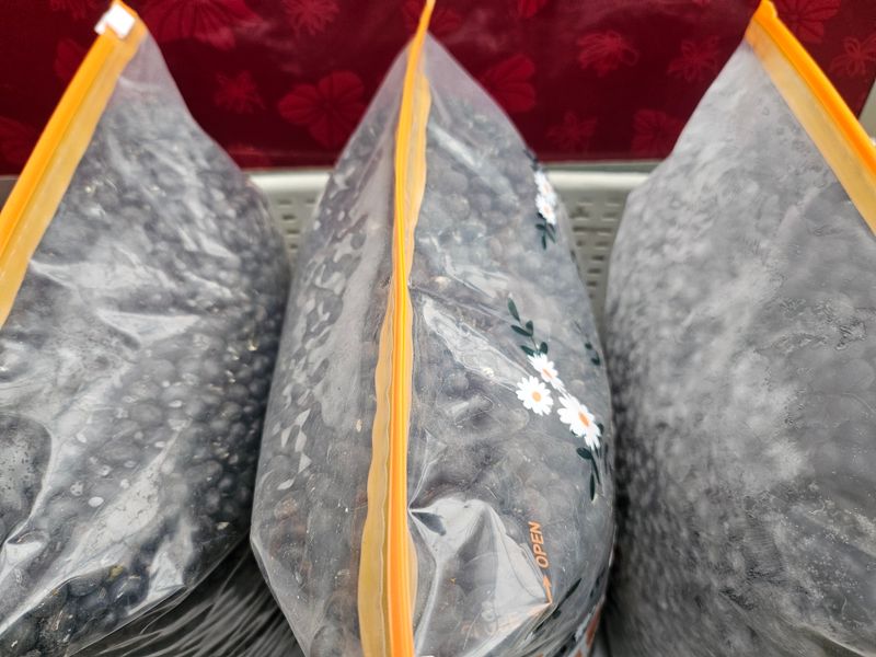 정옥령님의 장터 판매 상품 [서리태 10kg] 첨부 사진