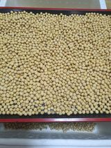 팜모닝 · 게시글 이미지