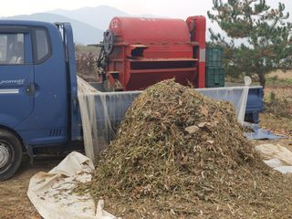 콩사랑님의 작성글 사진