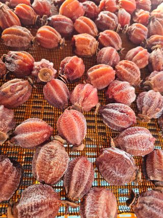 백용기님의 자유주제 · 자유게시판 작성글 사진