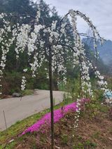 팜모닝 자유주제·자유게시판 게시글 이미지