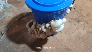 이동훈님의 자유주제 · 자유게시판 작성글 사진