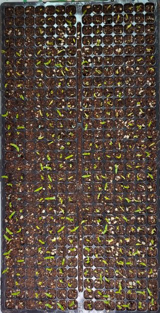 벼11065님의 자유주제 · 자유게시판 작성글 사진