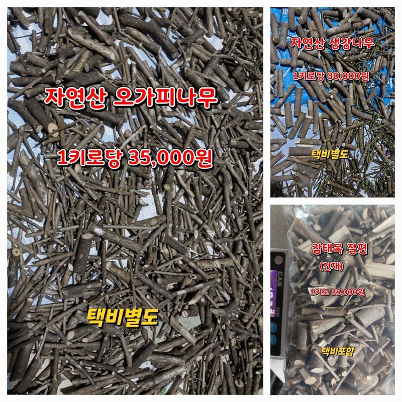 김봉호님의 장터 판매 상품 [벌나무,오가피] 첨부 사진