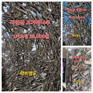 김봉호님의 작성글 사진