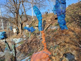 홍성호님의 자유주제 · 자유게시판 작성글 사진