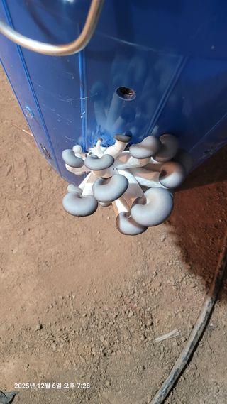 이동훈님의 자유주제 · 자유게시판 작성글 사진