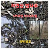 팜모닝 · 게시글 이미지