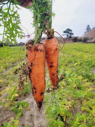 한경훈님의 자유주제 · 자유게시판 작성글 사진