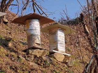 홍성호님의 자유주제 · 자유게시판 작성글 사진