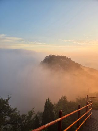 제주농부님의 자유주제 · 자유게시판 작성글 사진