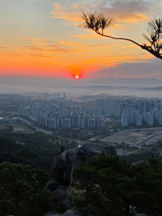 제주농부님의 자유주제 · 자유게시판 작성글 사진