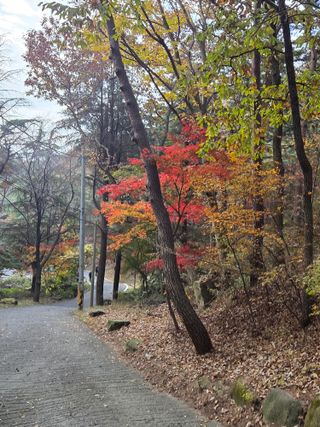 제주농부님의 자유주제 · 자유게시판 작성글 사진
