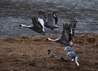 안길원님의 자유주제 · 자유게시판 작성글 사진