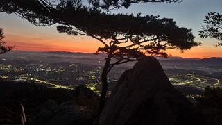 제주농부님의 자유주제 · 자유게시판 작성글 사진