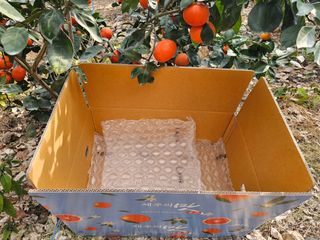 양애숙님의 작성글 사진