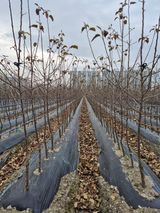 우리농원님의 자유주제·자유게시판 작성글 사진